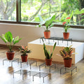 Close-up of sturdy metal rectangle flower plant stand for home gardening