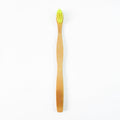 Biodegradable bamboo toothbrush for plastic-free dental hygiene