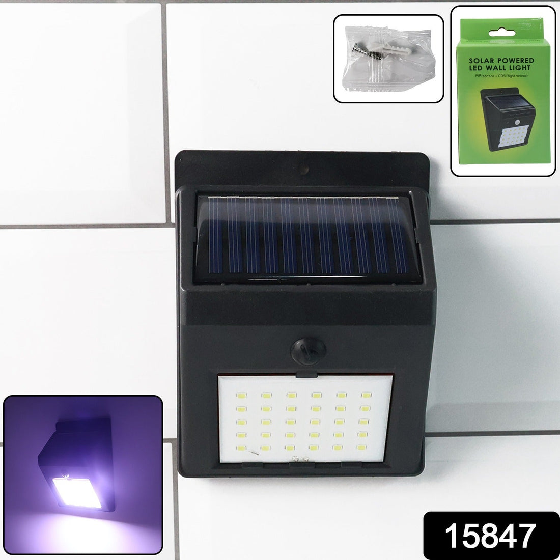 Solar powered LED wall light with motion sensor illuminating garden pathway