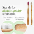 Two natural bamboo toothbrushes placed on a clean white background