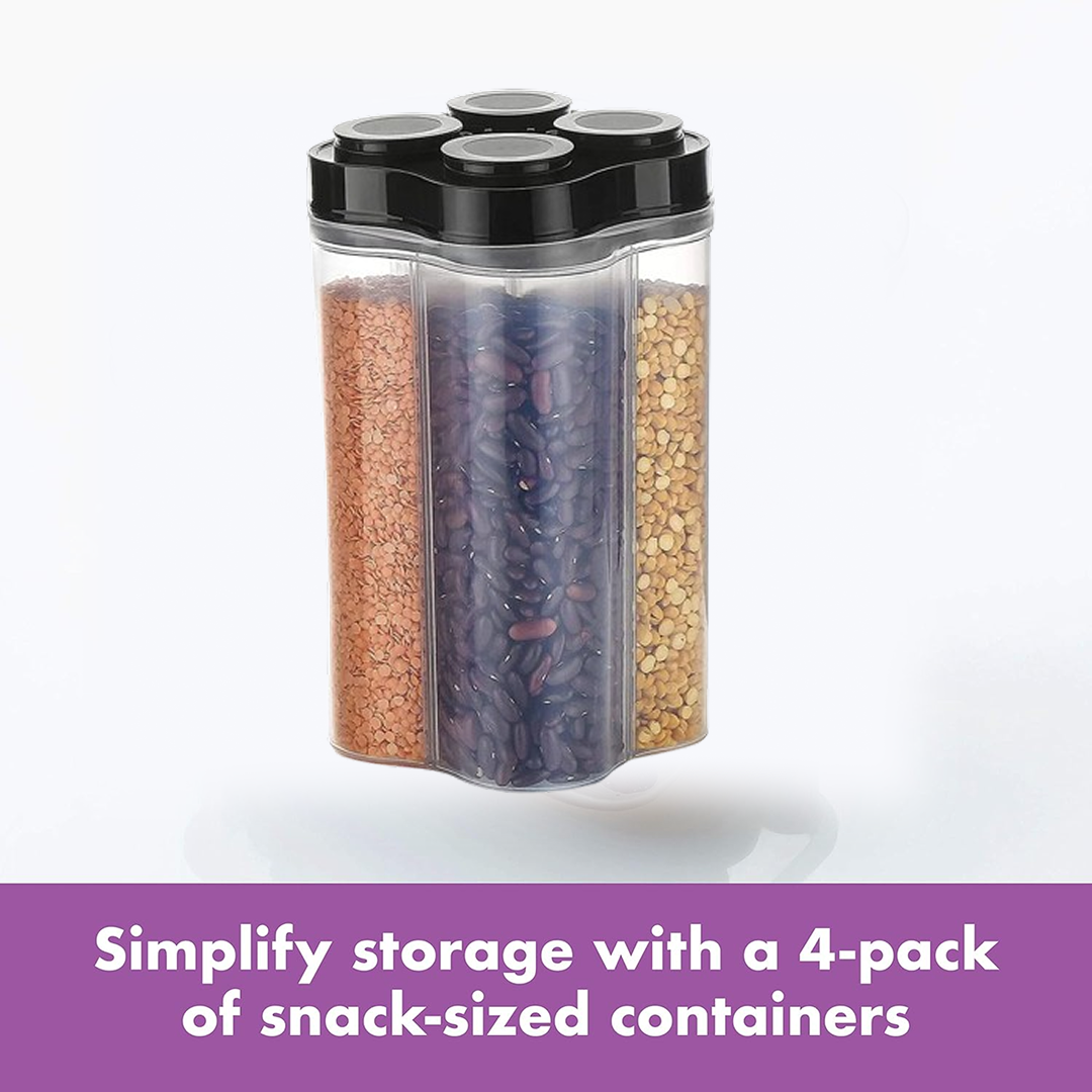 Clear plastic 4 section food storage container with a secure locking lid.