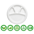 Disposable 4 section food serving plate ideal for home dining and catering