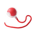 Interactive cat toy ball for indoor pet play and mental stimulation